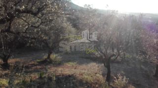 Οικόπεδο 1.004 τ.μ. προς πώληση, Καρυά Πάτρας-thumb-12