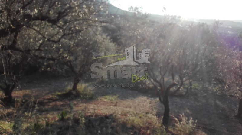 Οικόπεδο 1.004 τ.μ. προς πώληση, Καρυά Πάτρας