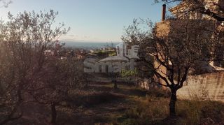 Οικόπεδο 1.004 τ.μ. προς πώληση, Καρυά Πάτρας-thumb-14