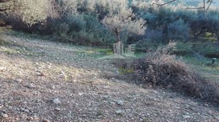Οικόπεδο 1.004 τ.μ. προς πώληση, Καρυά Πάτρας-thumb-16