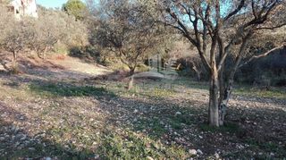 Οικόπεδο 1.004 τ.μ. προς πώληση, Καρυά Πάτρας-thumb-21