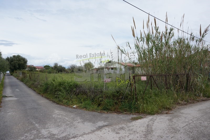 Οικόπεδο 591 τ.μ. προς πώληση, Αλισσός