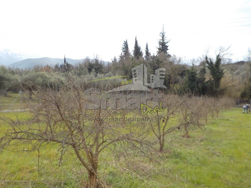 Αγροτεμάχια 14.500 τ.μ. προς πώληση, Κάτω Σταροχώρι