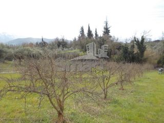 Αγροτεμάχια 14.500 τ.μ. για πώληση