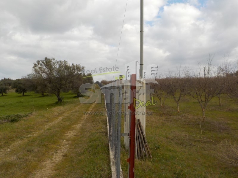 Αγροτεμάχια 14.500 τ.μ. προς πώληση, Κάτω Σταροχώρι