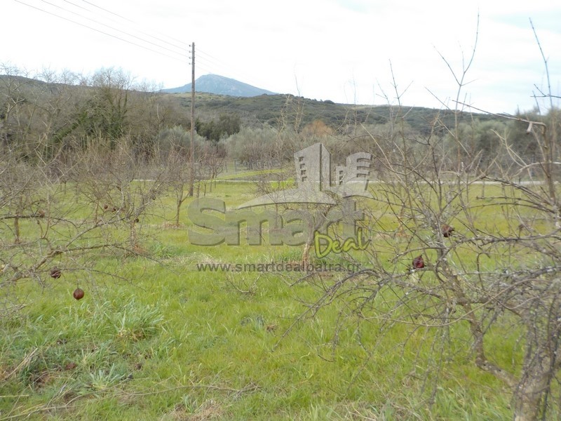 Αγροτεμάχια 14.500 τ.μ. προς πώληση, Κάτω Σταροχώρι