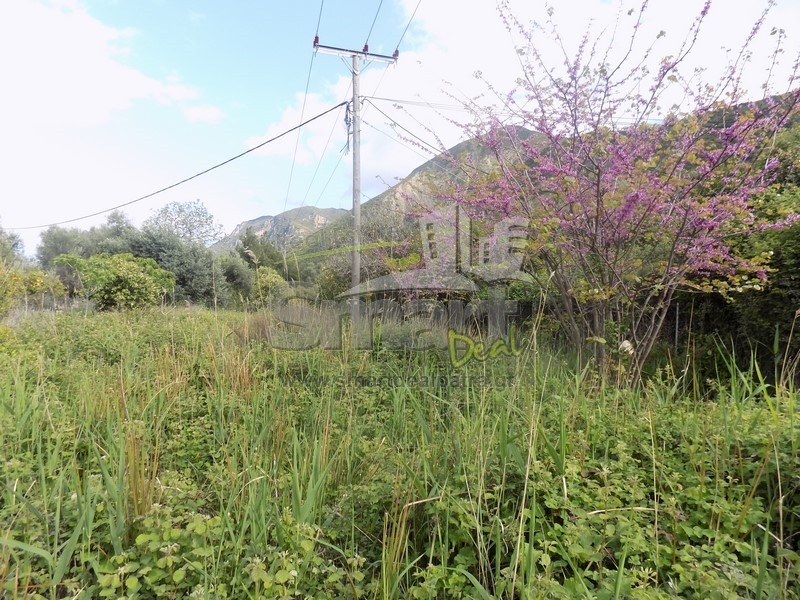Οικόπεδο 482,58 τ.μ. προς πώληση, Ψαθόπυργος