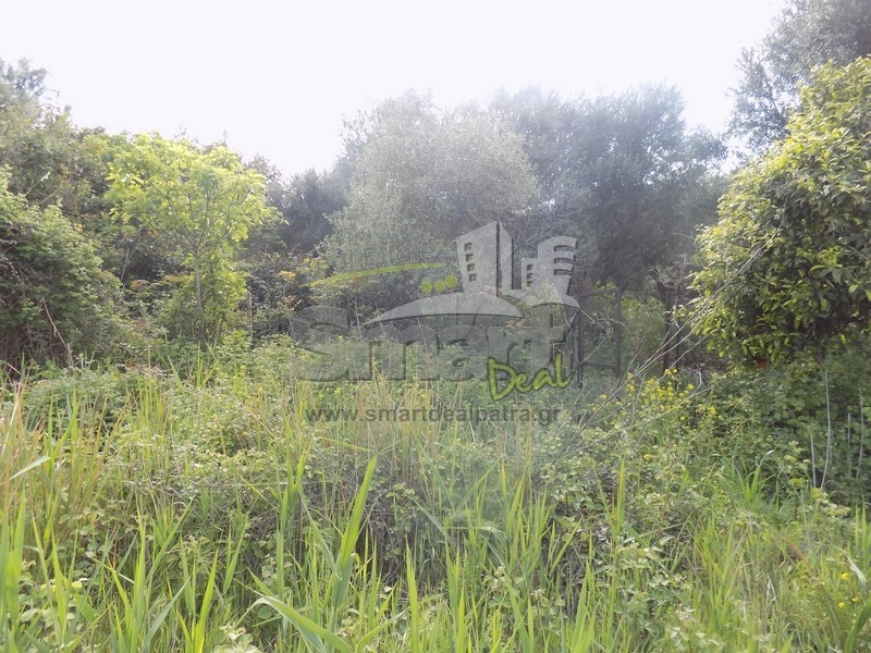 Οικόπεδο 482,58 τ.μ. προς πώληση, Ψαθόπυργος