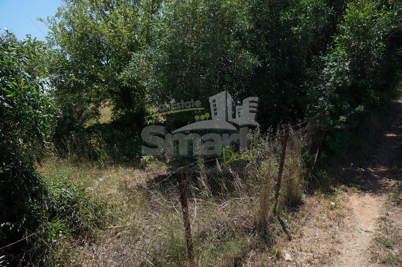 Οικόπεδο 2.000 τ.μ. προς πώληση, Λακκόπετρα