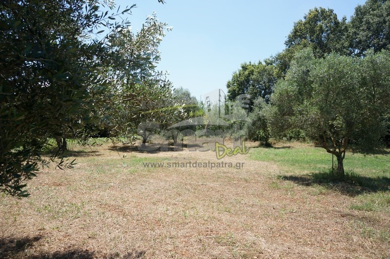 Οικόπεδο 2.000 τ.μ. προς πώληση, Λακκόπετρα
