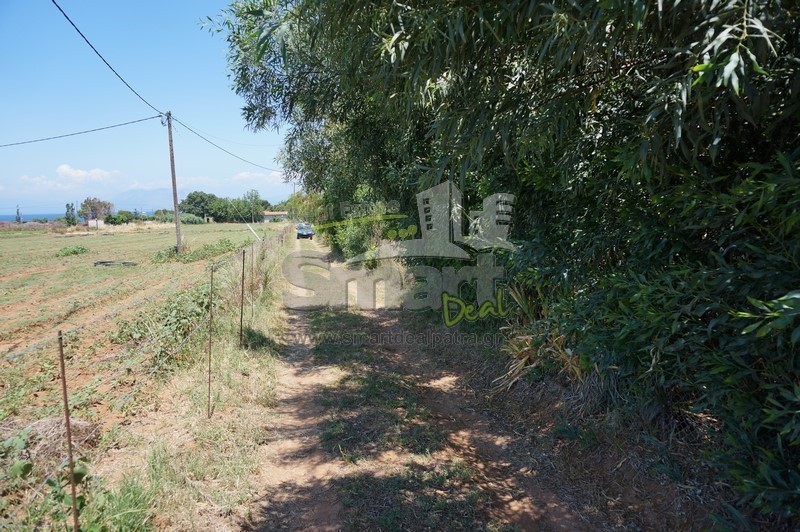 Οικόπεδο 2.000 τ.μ. προς πώληση, Λακκόπετρα