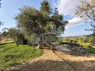 Μονοκατοικία 60 τ.μ. για πώληση, Αχαΐα, Ωλένια-thumb-24