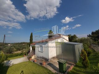 Μονοκατοικία 60 τ.μ. για πώληση, Αχαΐα, Ωλένια-thumb-19