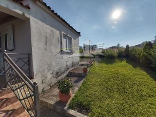 Μονοκατοικία 60 τ.μ. για πώληση, Αχαΐα, Ωλένια-thumb-22