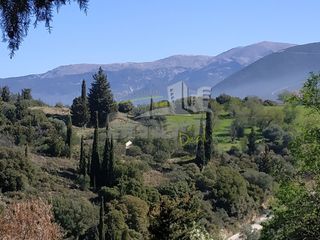 Οικόπεδο 1.047 τ.μ. για πώληση, Αχαΐα, Μεσσατίδα-thumb-17