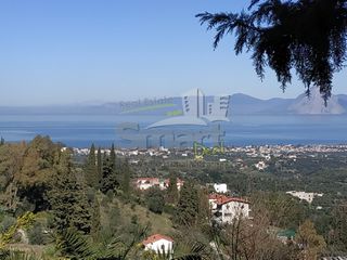 Οικόπεδο 1.047 τ.μ. για πώληση