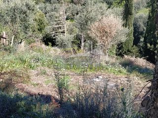 Οικόπεδο 1.047 τ.μ. για πώληση, Αχαΐα, Μεσσατίδα-thumb-18