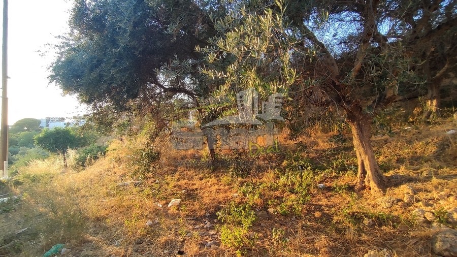 Οικόπεδο 136 τ.μ. προς πώληση, Αρόη