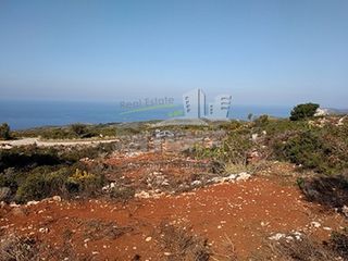 Οικόπεδο 4.100 τ.μ. για πώληση