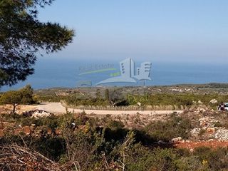 Οικόπεδο 4.100 τ.μ. για πώληση, Ζάκυνθος, Αρτεμίσιο-thumb-9