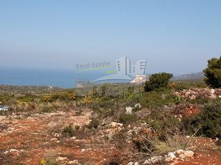 Οικόπεδο 4.100 τ.μ. για πώληση, Ζάκυνθος, Αρτεμίσιο-thumb-2