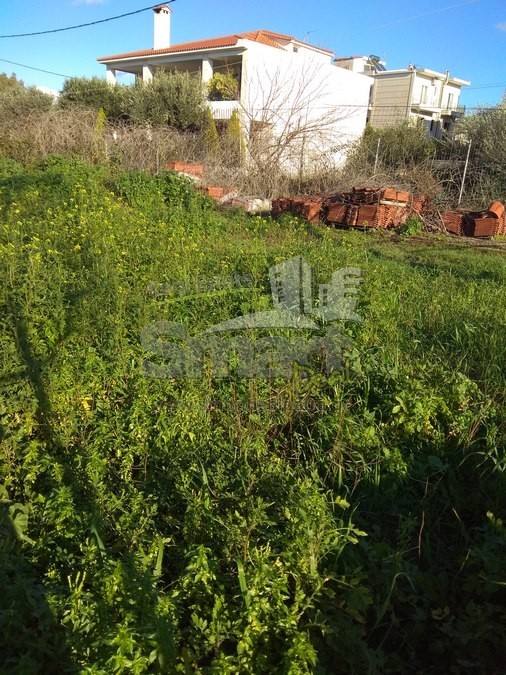 Οικόπεδο 257 τ.μ. προς πώληση, Προάστιο Πάτρας
