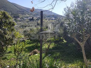 Οικόπεδο 555 τ.μ. για πώληση