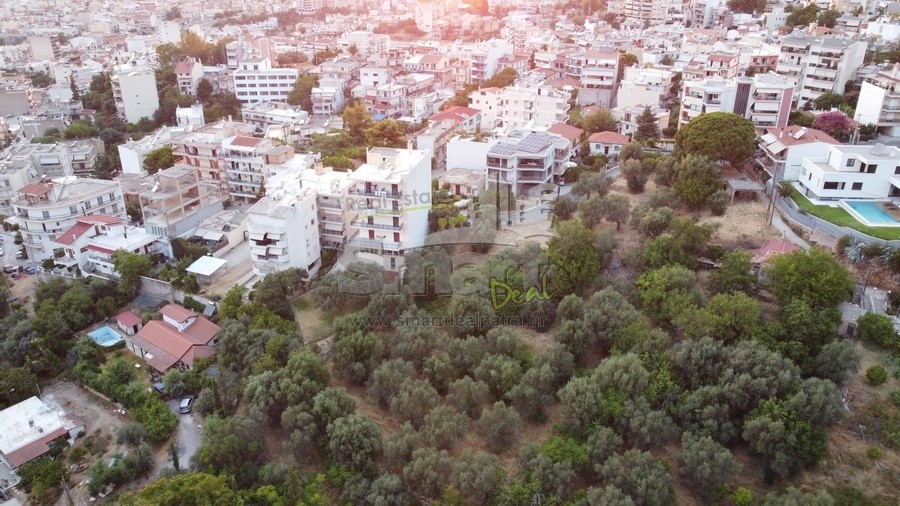 Οικόπεδο 3.005 τ.μ. προς πώληση, Αρόη