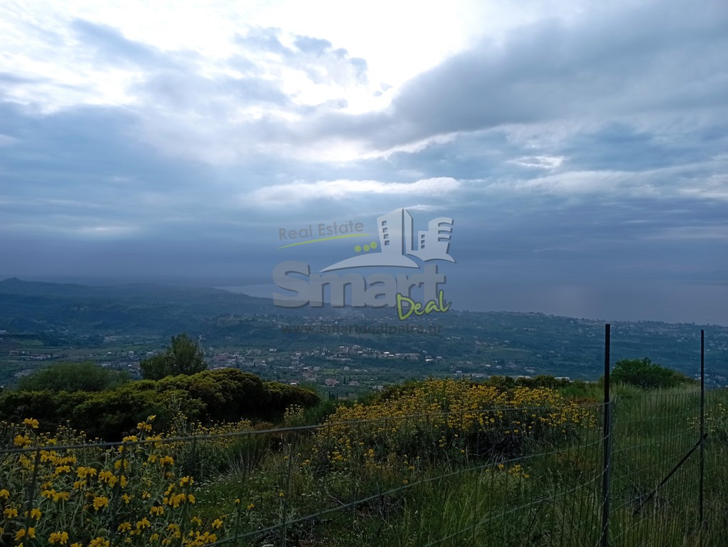 Οικόπεδο 4.261 τ.μ. προς πώληση, Άνω Καλλιθέα Μεσσάτιδας