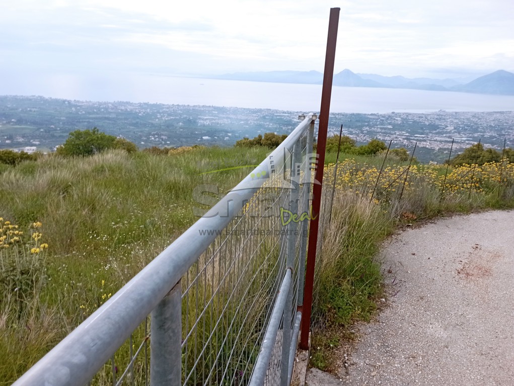 Οικόπεδο 4.261 τ.μ. προς πώληση, Άνω Καλλιθέα Μεσσάτιδας