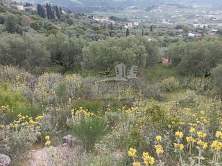 Οικόπεδο 4.261 τ.μ. για πώληση