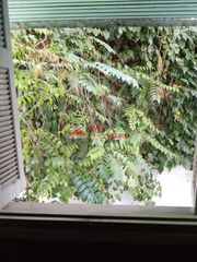Διαμέρισμα 54 τ.μ. για πώληση, Αθήνα - Κέντρο, Αττική-thumb-12