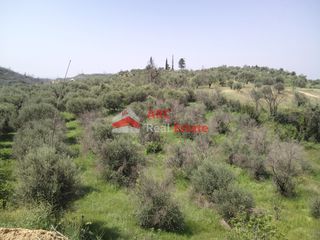Μονοκατοικία 173,50 τ.μ. για πώληση