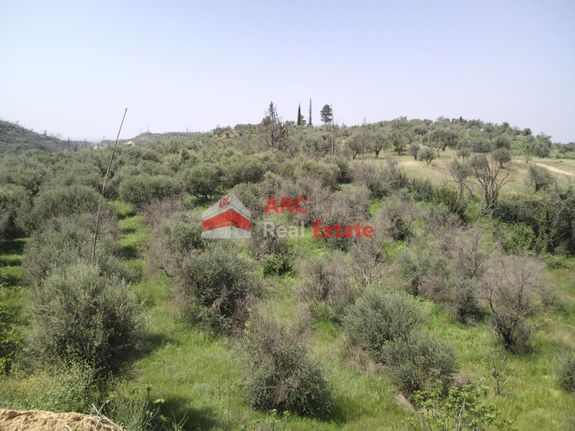 Μονοκατοικία 173,50 τ.μ. για πώληση, Ν. Ηλείας, Πύργος