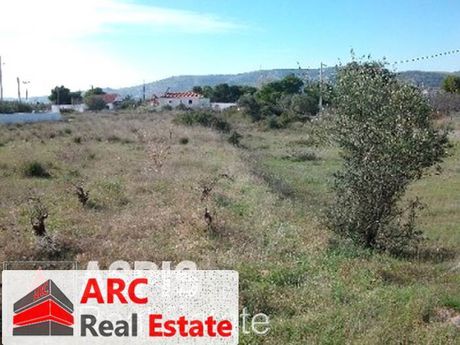 Land plot 1.243,19sqm for sale-Koropi
