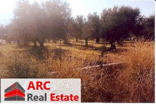 Land plot 952,86 sqm for sale