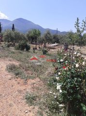 Μεζονέτα 162 τ.μ. για πώληση, Μεσσηνία, Κυπαρισσία-thumb-4