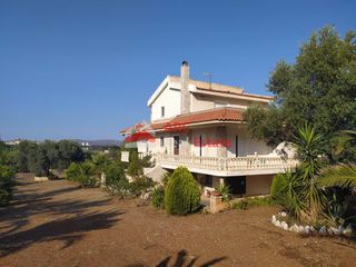 Μονοκατοικία 246 τ.μ. για πώληση