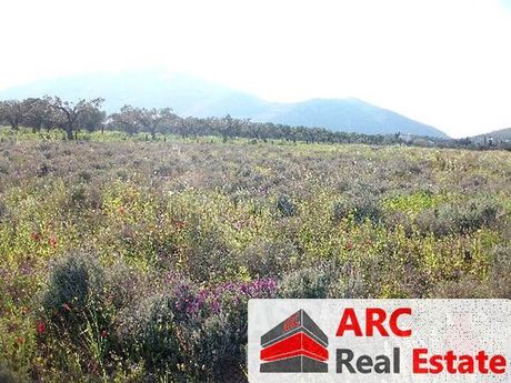 Land plot 11.600sqm for sale-Anavissos