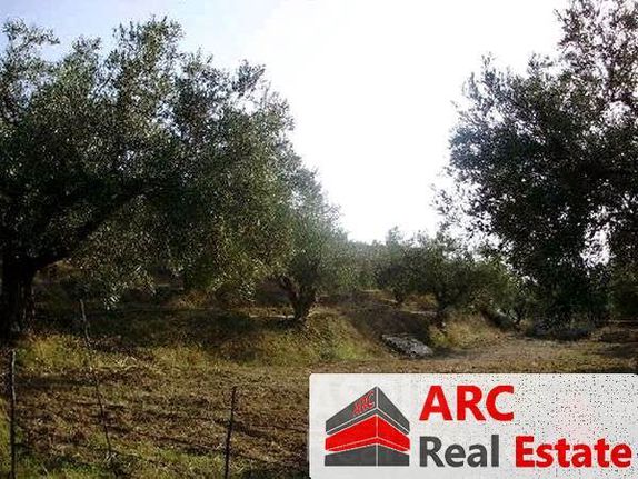 Οικόπεδο 9.000 τ.μ. για πώληση, Αργολίδα, Νέα Τίρυνθα