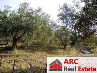 Οικόπεδο 9.000 τ.μ. για πώληση, Αργολίδα, Νέα Τίρυνθα-thumb-1