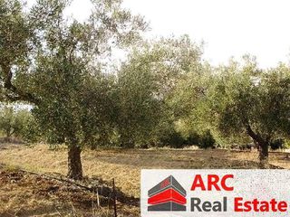 Οικόπεδο 9.000 τ.μ. για πώληση, Αργολίδα, Νέα Τίρυνθα-thumb-3
