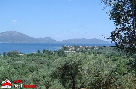 Οικόπεδο 5.700τ.μ. για πώληση-Αιδηψός