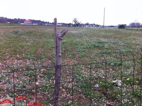 Οικόπεδο 11.000τ.μ. για πώληση-Κουβαράς