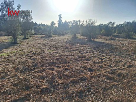 Αγροτεμάχια 10.063τ.μ. για πώληση-Δυτικής αχαΐας