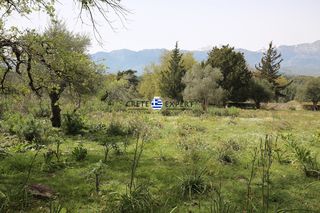 Οικόπεδο 4.100 τ.μ. για πώληση