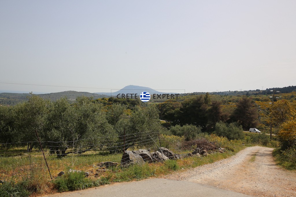 Οικόπεδο 4.600 τ.μ. προς πώληση, Βρύσες Κρυονερίδας