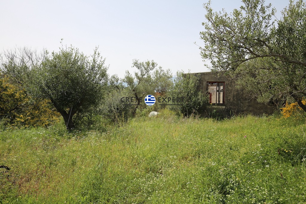 Οικόπεδο 4.600 τ.μ. προς πώληση, Βρύσες Κρυονερίδας