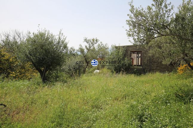 Οικόπεδο 4.600 τ.μ. για πώληση, Ν. Χανίων, Κρυονερίδα