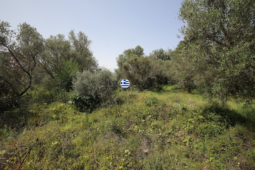 Οικόπεδο 4.600 τ.μ. προς πώληση, Βρύσες Κρυονερίδας